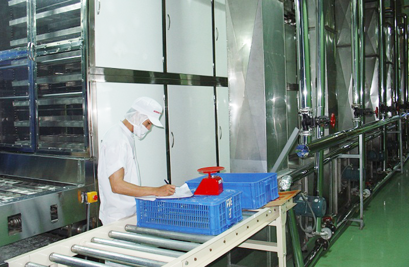 Instant rice noodle/dried rice noodle production line